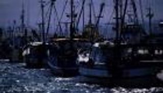 النفايات البلاستيكية تقتل الحياة المائية حول العالم