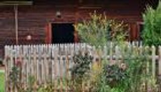 زراعة حديقة بمنزلك.. 10 فوائد مذهلة