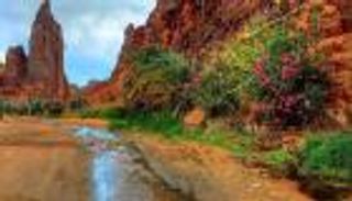 بالصور.. "الحبق والنبق" ينشط السياحة في الديسة السعودية