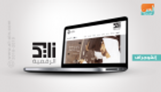 إنفوجراف.. "قناة زايد الرقمية" أول منصة إلكترونية خاصة