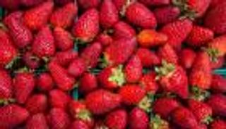 السعودية ترفع الحظر عن واردات الفراولة والفلفل الطازجة من مصر
