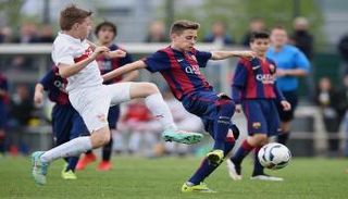 روبرت نافارو  