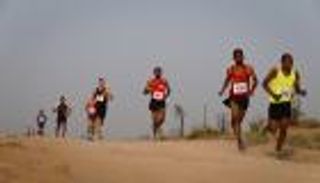  مجلس دبي الرياضي يحتفل باليوم العالمي للسلام والنشاط البدني