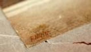 بيع لوحة رسمها هتلر بـ74 ألف دولار