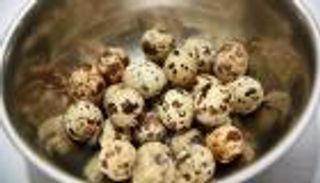 8 فوائد مذهلة لبيض السمان.. يقوي العظام ويعزز المناعة