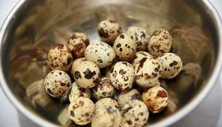 بيض السمان يعزز المناعة ويقاوم الاكتئاب