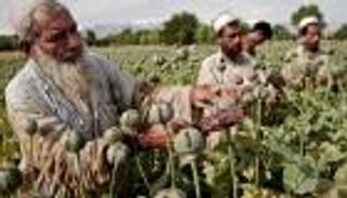 أفغانستان.. ضربات جوية موسعة لمواقع إنتاج مخدرات "طالبان"