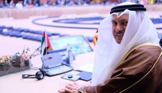 د. أنور قرقاش