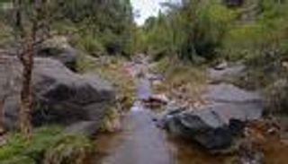 الأرصاد السعودية: سحب رعدية ممطرة على حائل والقصيم والرياض