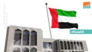 336.32 مليار درهم رصيد "المركزي الإماراتي" من العملات الأجنبية