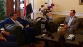 تعاون إماراتي مصري في قطاع الدواء