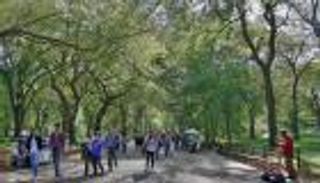 نيويورك.. منع دخول السيارات إلى سنترال بارك الصيف المقبل