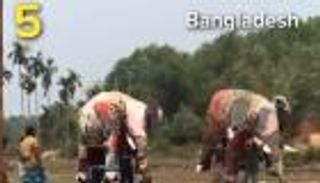 في يوم الأرض.. اللاجئون حول العالم يسهمون في حماية البيئة