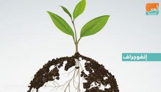 إنفوجراف.. أهم مشاريع الطاقة النظيفة في الإمارات