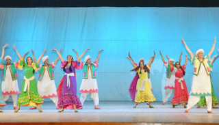 فرقة رضا الاستعراضية