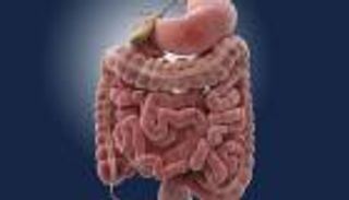 "زراعة البراز" تنقذ مرضى الجهاز الهضمي من الموت