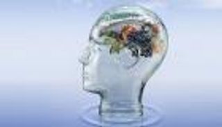 تناول الأسماك في الخريف يقاوم الشلل الرعاش