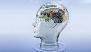 الأسماك تحسن الجهاز العصبي