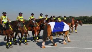 "خيالة" شرطة أبوظبي تنفذ 6045 مهمة لدعم منظومة الأمن