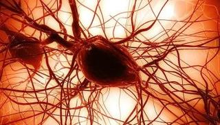 الصين تتوصل لمزيج كيميائي يساعد في تكوين الخلايا الجذعية