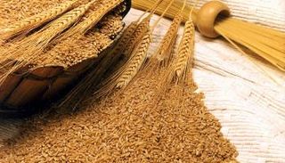 فوائد جنين القمح الصحية عديدة