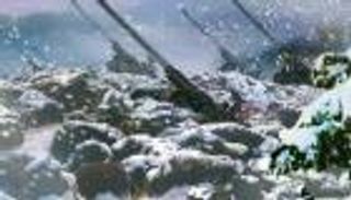 كوريا الشمالية تطور نظاما لتشغيل الكمبيوتر.. هذه خلفية الشاشة