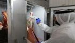 "أبوظبي للرقابة الغذائية" يفتش مستودعات ومنشآت بيع اللحوم