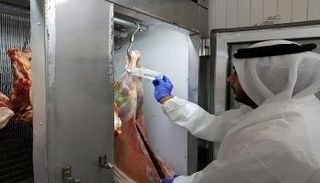 جانب من الحملة 