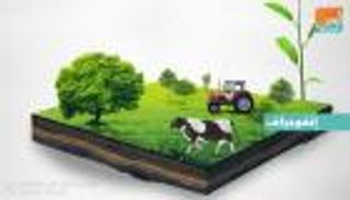 إنفوجراف.. التنوع الغذائي المستدام.. رؤية طموحة لمستقبل أجيال الإمارات