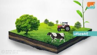 التنوع الغذائي المستدام في الإمارات