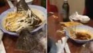 بالفيديو.. سمكة تقفز من الطبق بعد الطهي