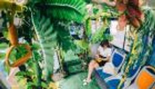 بالصور.. الحافلات في الصين تتحول إلى حديقة متنقلة