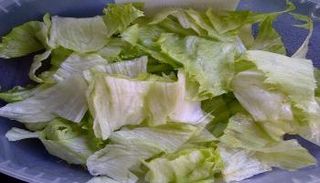 الخس الأفرنجي يهدد بالإصابة ببكتيريا إيكولاي