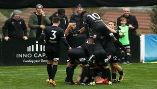 ولنجتون النيوزيلندي