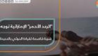 "الرعد الأحمر" الإماراتية توجه ضربة قاصمة لقيادة الحوثي بالحديدة