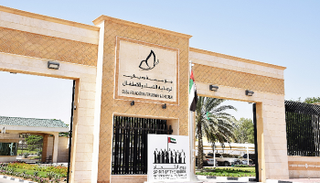 مؤسسة دبي لرعاية النساء والأطفال