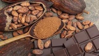 الكاكاو يحسّن وظيفة الأوعية الدموية