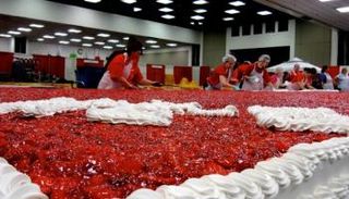 أكبر كعكة فراولة في العالم بالجزائر