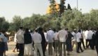 284 مستوطنا يقتحمون "الأقصى" في حماية شرطة الاحتلال