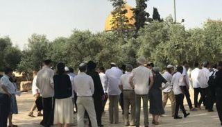 الاقتحامات للمسجد الأقصى اليوم