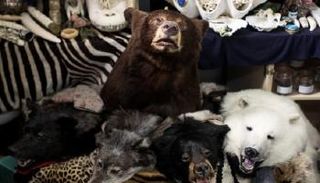 أكثر من 5 آلاف إعلان يعرض بيع نحو 12 ألف سلعة