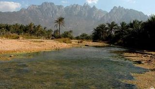 جزيرة سقطرى اليمنية