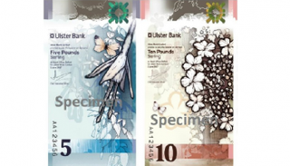 العملات الورقية الطولية