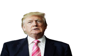 الرئيس الأمريكي دونالد ترامب 
