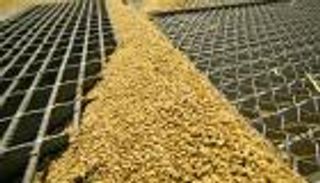 لعنة "الإرجوت" وراء رفض مصر لشحنة قمح روسية