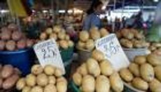 عودة البطاطس المصرية للسوق الروسية