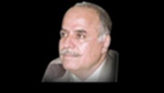 د.عبدالله المدني