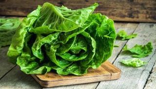 الخس يقوي العظام ويحمي من السرطان