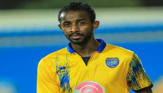 ربيع سفياني 