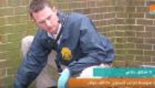 10 وظائف تحقق دخلا مميزا بدون شهادة جامعية 